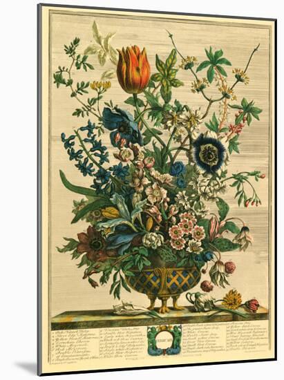 February-Robert Furber-Mounted Art Print