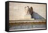 Federal Reserve Building-Tarch-Framed Stretched Canvas