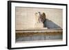 Federal Reserve Building-Tarch-Framed Photographic Print