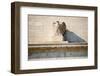 Federal Reserve Building-Tarch-Framed Photographic Print