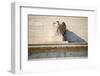 Federal Reserve Building-Tarch-Framed Photographic Print