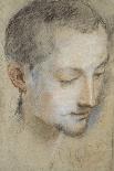 Recto: Head of a Child (Black, Red, White, Pink, and Yellow Chalks on Bluish-Grey Paper)-Federico Fiori Barocci-Giclee Print