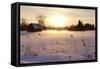 Federsee Nature Reserve at Sunset in Winter-Markus-Framed Stretched Canvas