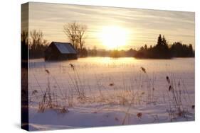 Federsee Nature Reserve at Sunset in Winter-Markus-Stretched Canvas