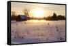 Federsee Nature Reserve at Sunset in Winter-Markus-Framed Stretched Canvas
