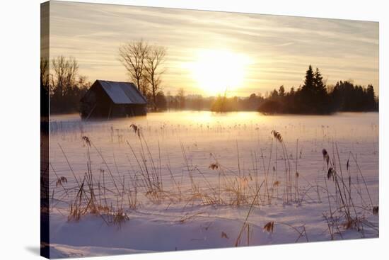 Federsee Nature Reserve at Sunset in Winter-Markus-Stretched Canvas