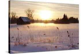 Federsee Nature Reserve at Sunset in Winter-Markus-Stretched Canvas