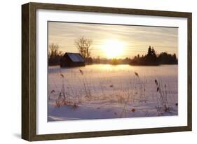 Federsee Nature Reserve at Sunset in Winter-Markus-Framed Photographic Print