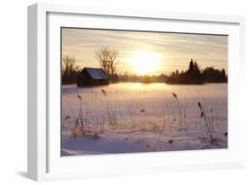 Federsee Nature Reserve at Sunset in Winter-Markus-Framed Photographic Print