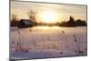 Federsee Nature Reserve at Sunset in Winter-Markus-Mounted Photographic Print