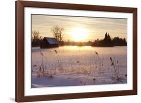Federsee Nature Reserve at Sunset in Winter-Markus-Framed Photographic Print