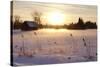 Federsee Nature Reserve at Sunset in Winter-Markus-Stretched Canvas