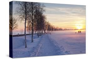 Federsee Nature Reserve at Sunset in Winter-Markus-Stretched Canvas