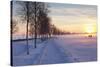 Federsee Nature Reserve at Sunset in Winter-Markus-Stretched Canvas