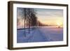 Federsee Nature Reserve at Sunset in Winter-Markus-Framed Photographic Print