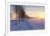 Federsee Nature Reserve at Sunset in Winter-Markus-Framed Photographic Print