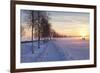 Federsee Nature Reserve at Sunset in Winter-Markus-Framed Photographic Print