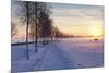 Federsee Nature Reserve at Sunset in Winter-Markus-Mounted Photographic Print