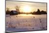 Federsee Nature Reserve at Sunset in Winter-Markus-Mounted Photographic Print