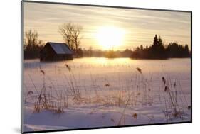 Federsee Nature Reserve at Sunset in Winter-Markus-Mounted Photographic Print