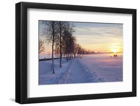 Federsee Nature Reserve at Sunset in Winter-Markus-Framed Photographic Print