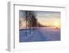 Federsee Nature Reserve at Sunset in Winter-Markus-Framed Photographic Print