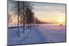 Federsee Nature Reserve at Sunset in Winter-Markus-Mounted Photographic Print