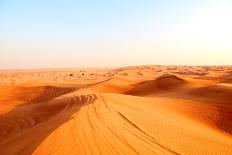 Red Sand Arabian Desert near Dubai, United Arab Emirates-Fedor Selivanov-Framed Photographic Print