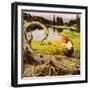 "Feeding Chipmunks", May 16, 1953-John Clymer-Framed Giclee Print