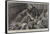 Feeding Crocodiles in a Menagerie, at Bone, Algeria-null-Framed Stretched Canvas