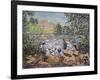 Feeding Ducks Elvaston Castle-Kirstie Adamson-Framed Giclee Print