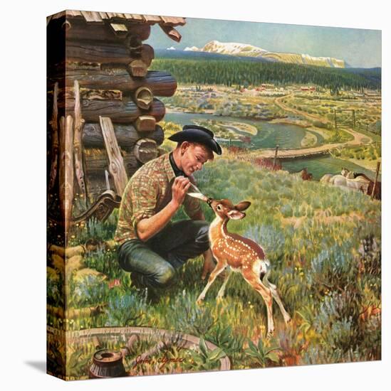 "Feeding Fawn Near Flowering Field", May 27, 1950-John Clymer-Stretched Canvas