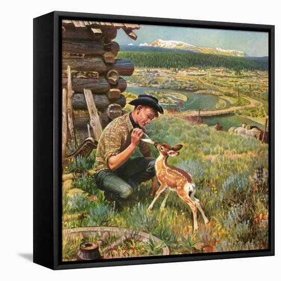 "Feeding Fawn Near Flowering Field", May 27, 1950-John Clymer-Framed Stretched Canvas