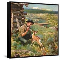 "Feeding Fawn Near Flowering Field", May 27, 1950-John Clymer-Framed Stretched Canvas