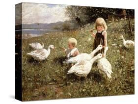 Feeding Geese, 1890-Alexander Koester-Stretched Canvas