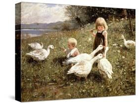 Feeding Geese, 1890-Alexander Koester-Stretched Canvas