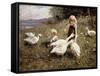 Feeding Geese-Alexander Koester-Framed Stretched Canvas