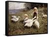 Feeding Geese-Alexander Koester-Framed Stretched Canvas