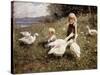 Feeding Geese-Alexander Koester-Stretched Canvas