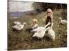 Feeding Geese-Alexander Koester-Stretched Canvas