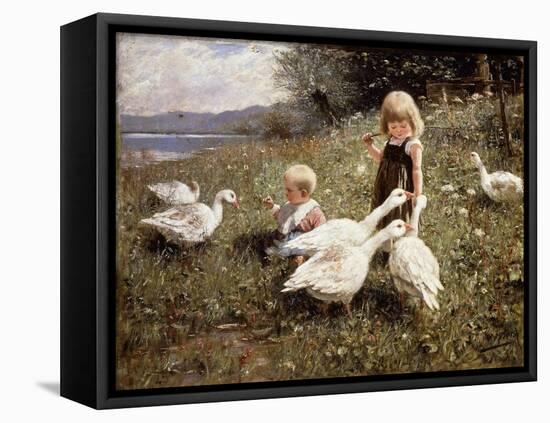 Feeding Geese-Alexander Koester-Framed Stretched Canvas