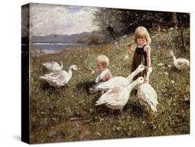 Feeding Geese-Alexander Koester-Stretched Canvas