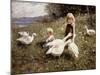 Feeding Geese-Alexander Koester-Mounted Giclee Print