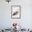 Feeding Hen, Trasierra, 1998-Mark Adlington-Framed Giclee Print displayed on a wall