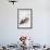 Feeding Hen, Trasierra, 1998-Mark Adlington-Framed Giclee Print displayed on a wall