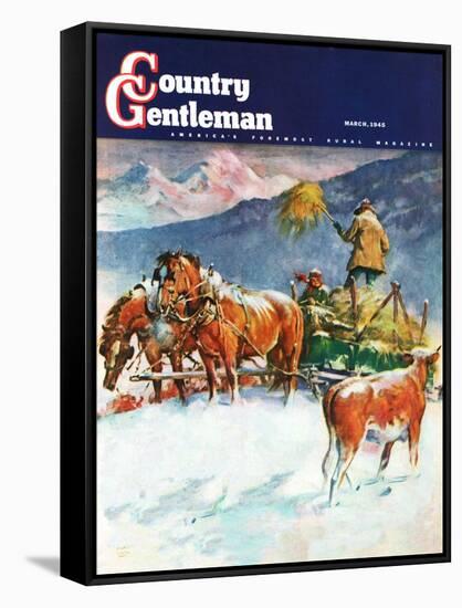 "Feeding Herd in Winter," Country Gentleman Cover, March 1, 1945-Matt Clark-Framed Stretched Canvas