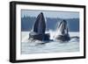 Feeding Humpback Whales, Alaska-Paul Souders-Framed Photographic Print