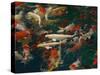 Feeding Koi Fish with Milk Bottle-geargodz-Stretched Canvas