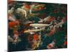 Feeding Koi Fish with Milk Bottle-geargodz-Mounted Photographic Print