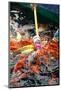 Feeding Koi Fish with Milk Bottle-geargodz-Mounted Photographic Print